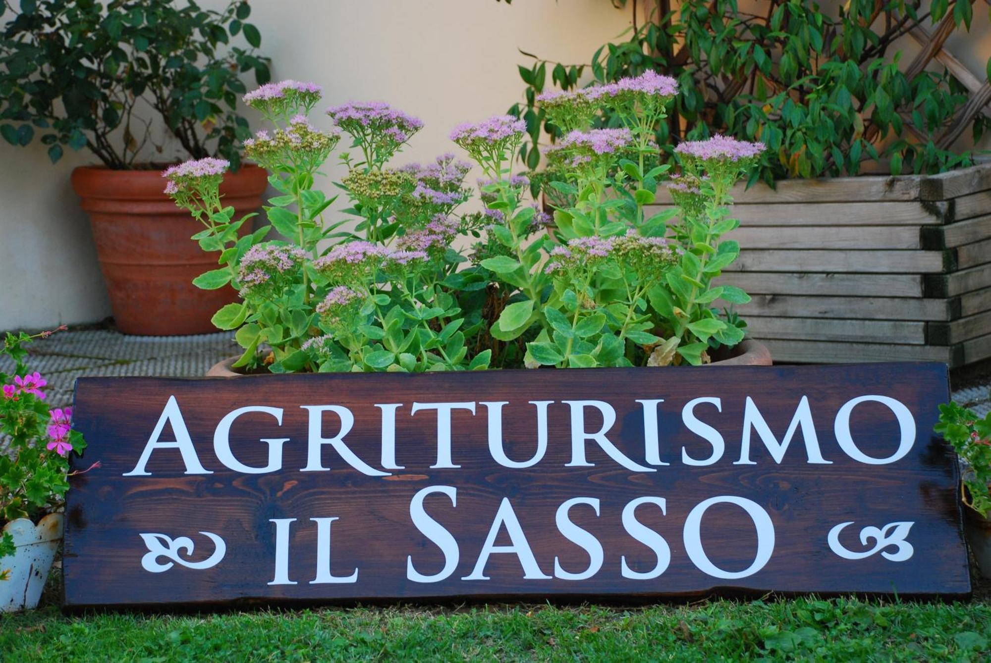 Agriturismo Il Sasso Ангьяри Экстерьер фото